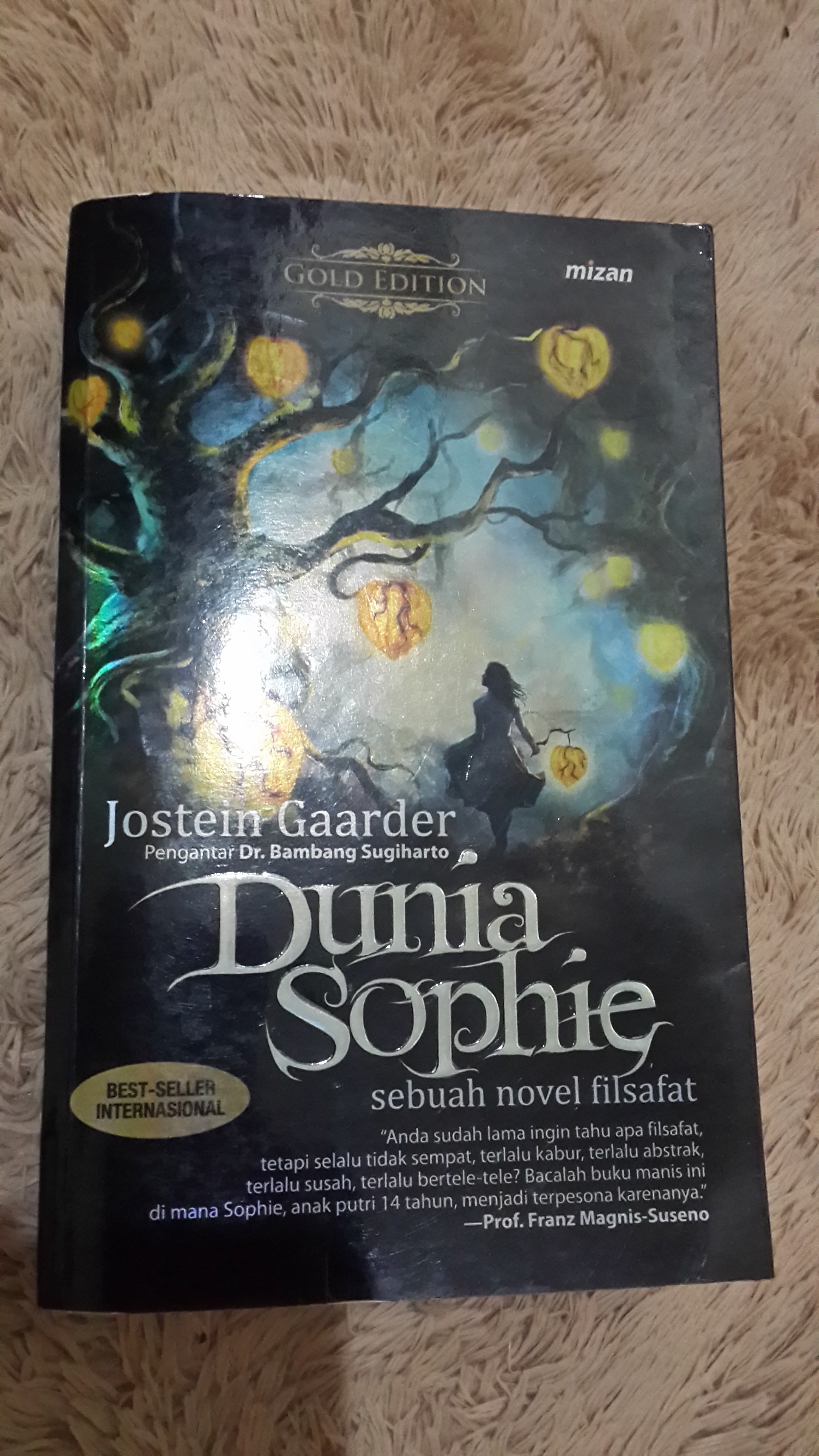 Review Novel DUNIA SOPHIE  mbahkliwon00